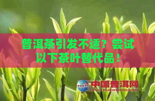 普洱茶引發(fā)不適？嘗試以下茶葉替代品！
