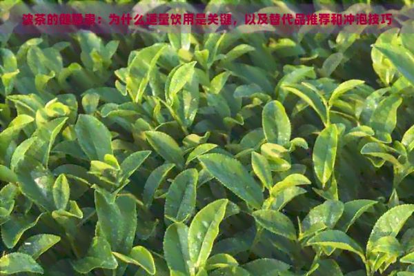 濃茶的健隱患：為什么適量飲用是關(guān)鍵，以及替代品推薦和沖泡技巧