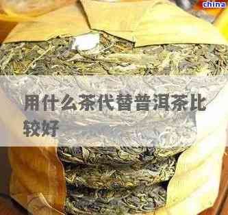 正品普洱茶能用什么代替