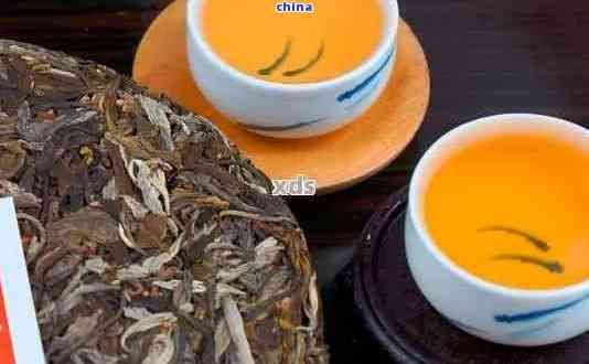 正品普洱茶能用什么代替