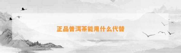 正品普洱茶能用什么代替