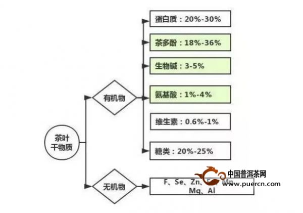 為什么茶不能被其它飲料替代？