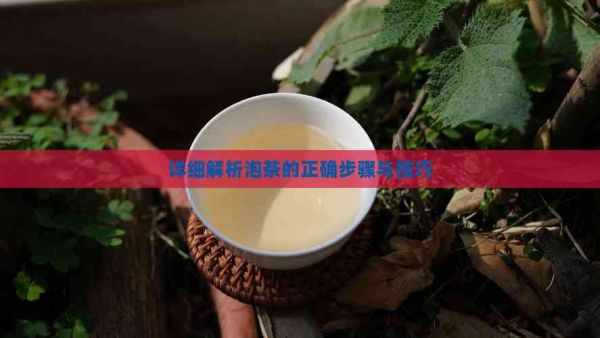 详细解析泡茶的正确步骤与技巧