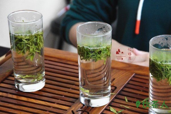 如何冲茶，正确泡茶的方式(3分钟就能学会)
