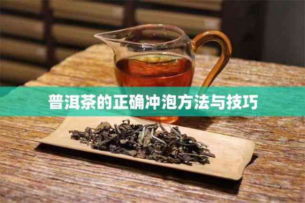 普洱茶的正确冲泡方法与技巧