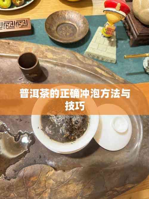普洱茶的正确冲泡方法与技巧