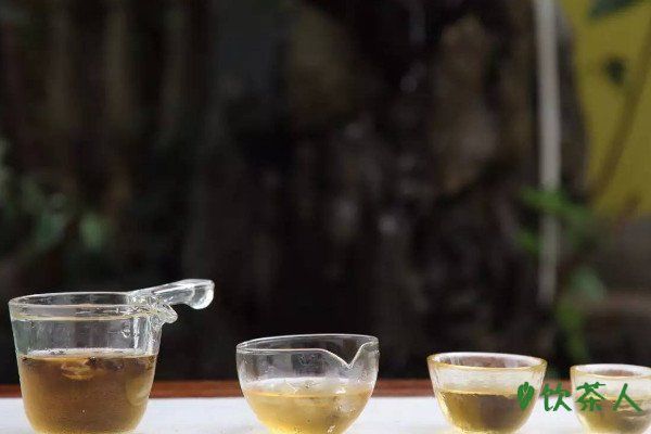 冷泡茶的做法，冷泡茶的正确冲泡方式