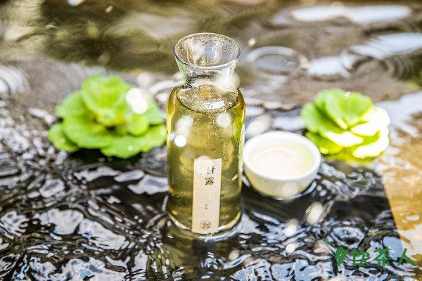 冷泡茶的做法，冷泡茶的正确冲泡方式