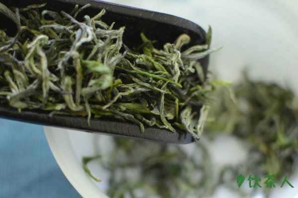 信阳毛尖怎么泡，信阳毛尖的正确泡法(五步一壶好茶)