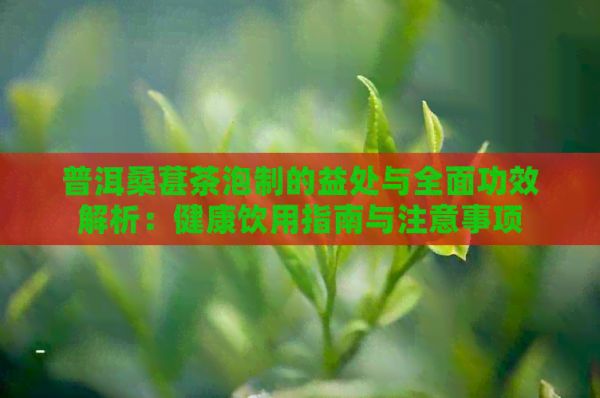 普洱桑葚茶泡制的益处与全面功效解析：健康饮用指南与注意事项