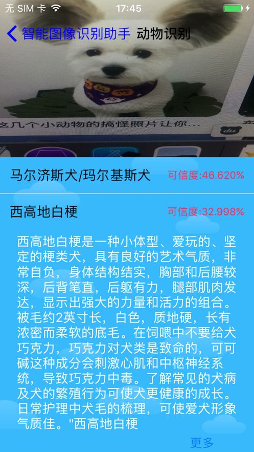 智能图像识别助手