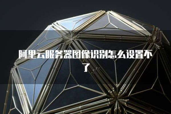 阿里云服务器图像识别怎么设置不了