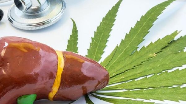 洗澡也能減肥？中藥泡澡瘦身效果好