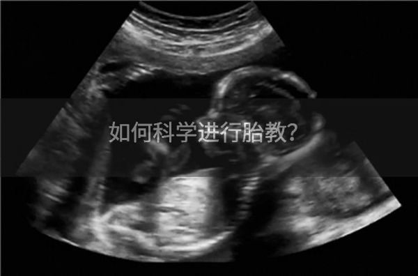 如何科學(xué)進(jìn)行胎教？