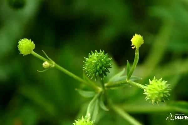 體育器材大全：全面解析與科普指南