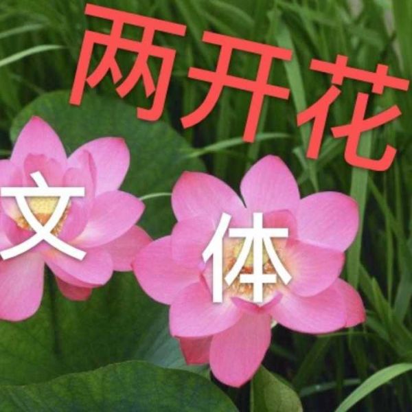 段媛媛