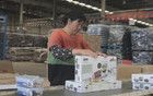 中國制造業(yè)，哭死！