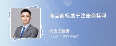 商品商標(biāo)屬于注冊(cè)商標(biāo)嗎