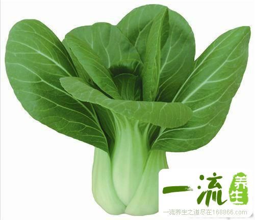 什么東西防輻射