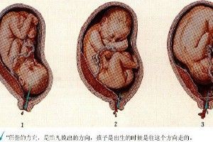 孕期健康怎样-如何对孕妇进行健康教育！
