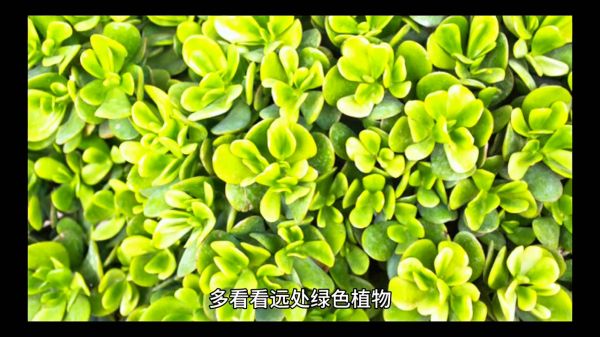 如何保護(hù)好孩子的視力（保護(hù)孩子視力的七大方法）