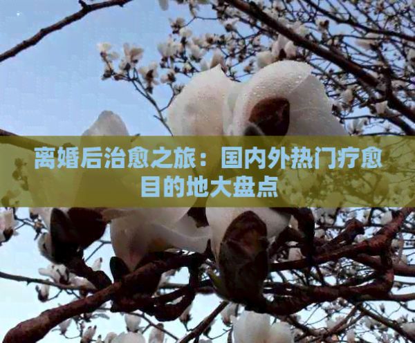 离婚后治愈之旅：国内外热门疗愈目的地大盘点