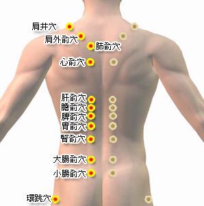 背俞穴