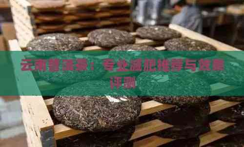 云南普洱茶：專業(yè)減肥推薦與效果評測