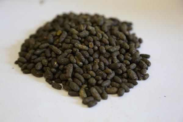 虛胖體質(zhì)怎么才能快速的瘦下去中藥小方