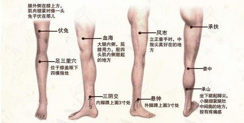 瘦到你尖叫，瘦腿拔罐穴位圖