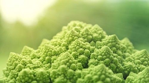 如何補充維生素？不同食物搭配多種維生素礦物質(zhì)片
