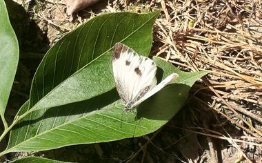 婚內可以公證撫養(yǎng)權嗎