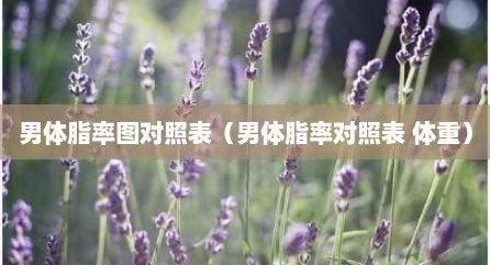 男體脂率圖對(duì)照表（男體脂率對(duì)照表 體重）