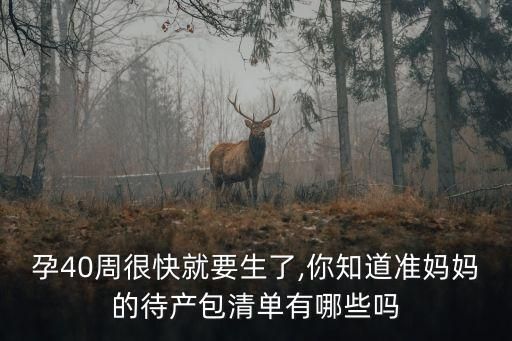 孕40周很快就要生了,你知道準媽媽的待產(chǎn)包清單有哪些嗎
