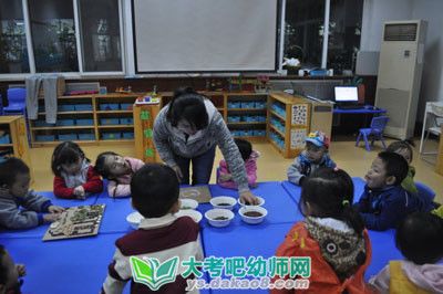 大班健康教案：合理配餐教案及教學(xué)反思配圖二