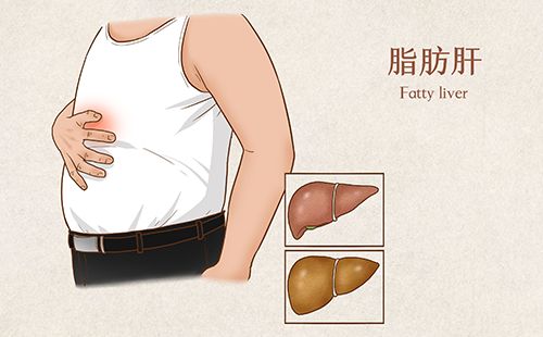 體成分測(cè)試系統(tǒng)