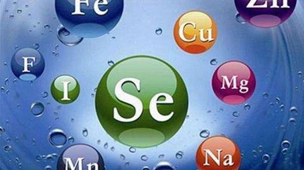 關(guān)于體成分你了解多少？