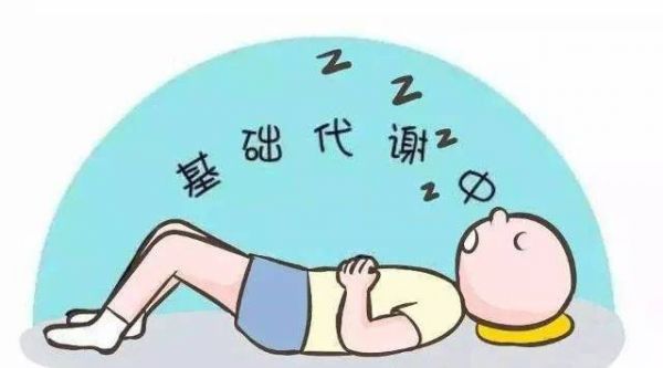 關(guān)于體成分你了解多少？