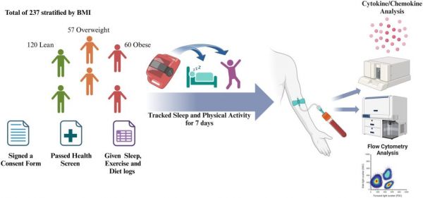 睡眠質(zhì)量影響免疫系統(tǒng)