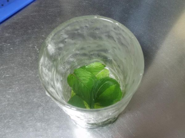 純奶手撕吐司的做法 步驟1