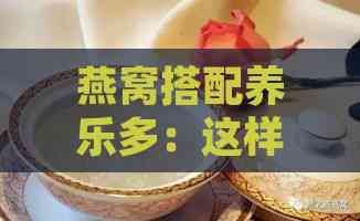 燕窩搭配養(yǎng)樂多：這樣的雙重滋養(yǎng)能否一同享用？
