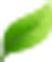 Banner Images