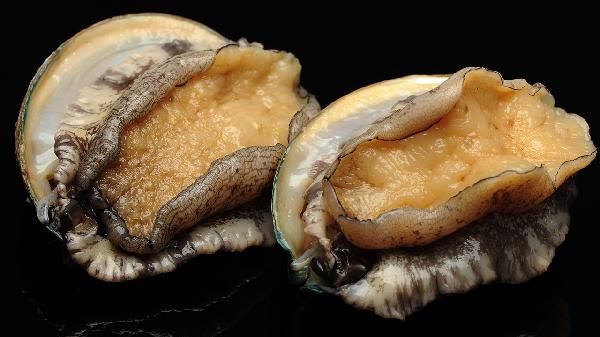 富含鐵的食物有哪些