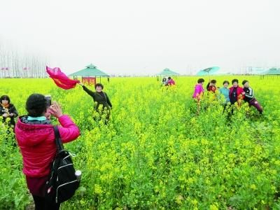 老人經(jīng)常外出旅游讓身體更健康