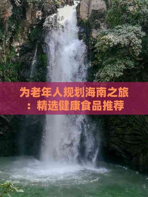 為老年人規(guī)劃海南之旅：精選健康食品推薦
