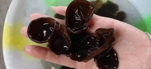 红枣黑木耳煮水成品图