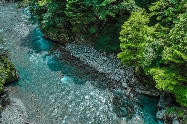 健康無憂c1二十年后能取本金嗎