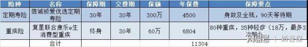 消費(fèi)型重疾險+高額定期壽險