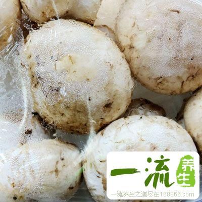 营养晚餐 教你快速做营养餐