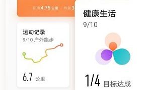 華為運動健康本